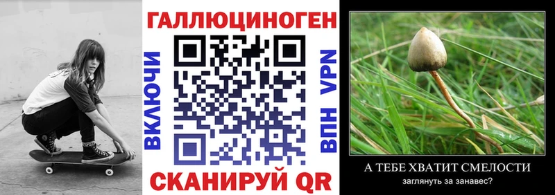 Галлюциногенные грибы Magic Shrooms  где найти   Кызыл 